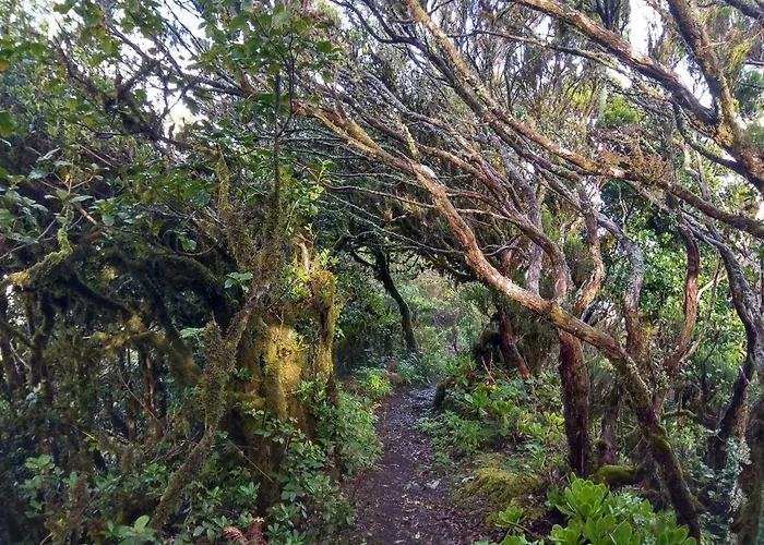 Sunset 公寓 El Pris