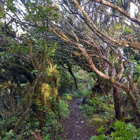 Sunset Apartman El Pris